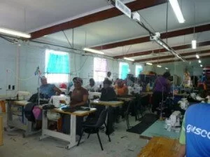 Co-ops such as these are being ripped off in the Eastern Cape.
