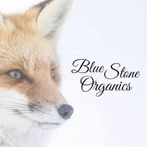 blue stone organics eco friendly online store south africa